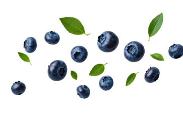 Flying swirl wave of Blueberries with green leaves in the air isolated on background, popular season berries fruit.