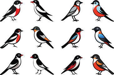 Obraz premium Reyezuelo volador Bird set bundle- 12 Vector illustration. bird icon, vector, animal, flying, png, 