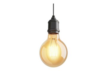 A hanging light bulb isolated on transparent background