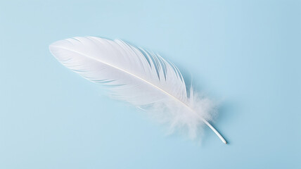 Obraz premium A white fluffy bird feather on a delicate blue background