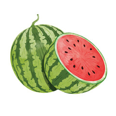 Watermelon fruit Design elements. watercolour style vector illustration.