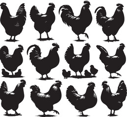 silhouettes Hen, a group of silhouettes Hen, black color isolated on white background vector and white background