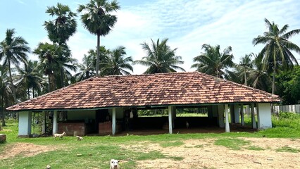 Indian village style tiled roof house.Architecture of old heritage Indian house with Roof top....