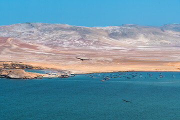 Tranquil Waters. Paracas Reserve: A Harmony of Land and Sea