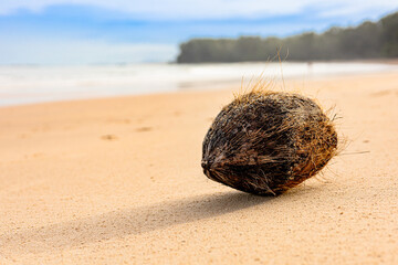 Scenic seascape of an idyllic sandy tropical beach with coconut fiber washed up from the sea on a sunny day