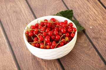 Ripe sweet organic red currant heap