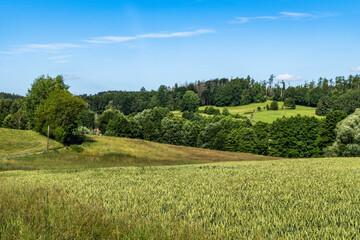 Das Oberlausitzer Bergland bei der Gemeinde Steinigtwolmsdorf 1