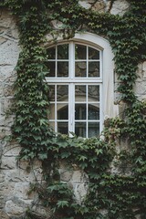 Fototapeta premium Close up of ivy on the wall with a white window, European style architecture with stone walls and windows, white arched glass panes with vines growing around them, green plants and flowers, natural li