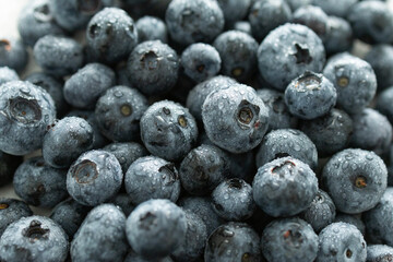 Great bilberries close-up. Top view. Fresh berries with water drops. Attention to glare, on a white background. Concept of vegetarian, vegan, healthy seasonal food