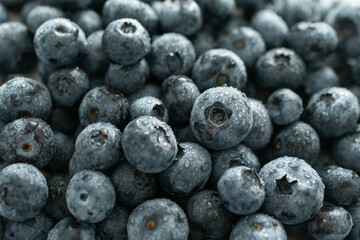 Great bilberries close-up. Top view. Fresh berries with water drops. Attention to glare, on a white background. Concept of vegetarian, vegan, healthy seasonal food