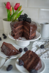  cake drenched in chocolate and garnished with blackberries