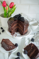  cake drenched in chocolate and garnished with blackberries