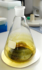 matraz de erlenmeyer con resinas extraídas en laboratorio químico