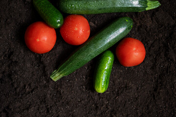 A close-up shot of zucchini, cucumbers, and tomatoes positioned on rich black soil, highlighting fresh produce. Ideal for themes related to gardening, agriculture, and healthy eating.