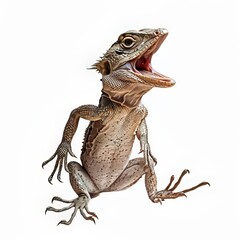 Fototapeta premium Realistic illustration of a lizard with its mouth wide open