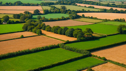 view of the park in the summer