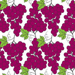Pattern with red burgundy grape on white background.