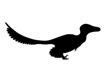 silhouette of a feathered dinosaur on a white background