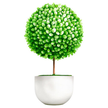 recommend clip art: Green topiary bush in white pot in watercolor style clipart with transparent background