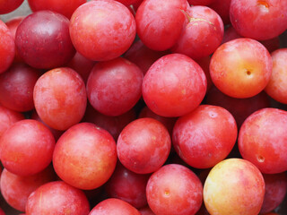 red prune fruit background