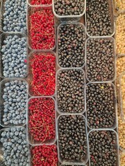 blueberries and raspberries lie on store shelves
