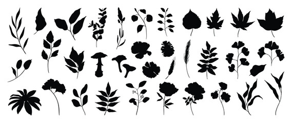 Collection of botanical silhouette element vector. Set of tropical plant, wildflower, rose, mushroom, maple, ginkgo leaf, eucalyptus. Hand drawn of botanical for decor, website, graphic, decorative.
