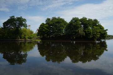 Obraz premium A pond in a city park against a background of trees.