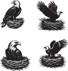 black and white silhouette of eagle sitting in his nest