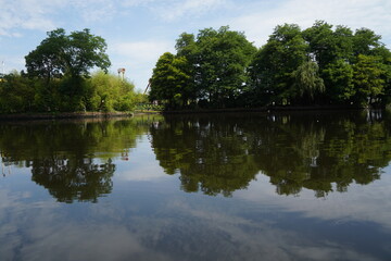 A pond in a city park against a background of trees.