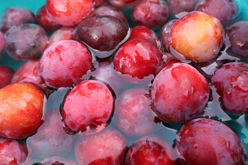 Harvest plums are fresh red and purple in water