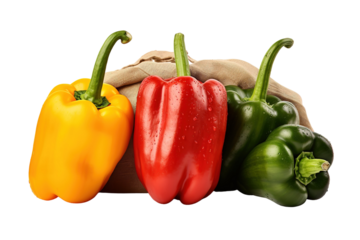 A Trio of Vibrant Bell Peppers Resting on a Rustic Burlap Bag on a White or Clear Surface PNG Transparent Background.