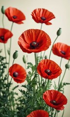 Obraz premium Red Poppy Flowers.