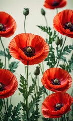 Fototapeta premium Poppy Flowers Closeup.