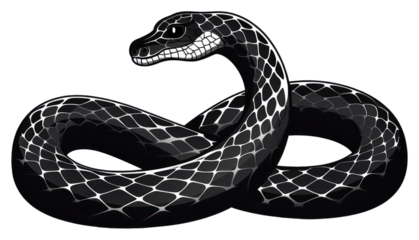 PNG Reptile animal snake poisonous.