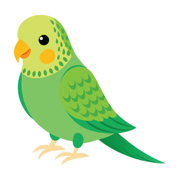 recommend clip art: Illustration of green budgie Isolated