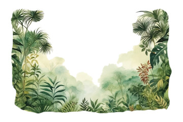 PNG Vegetation outdoors nature forest.