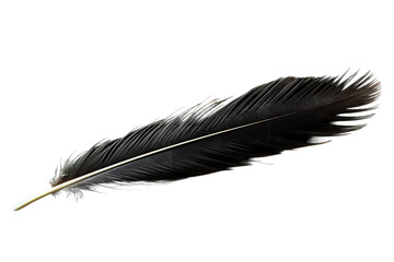 A Single Black Feather Rests on a White Background on a White or Clear Surface PNG Transparent Background.