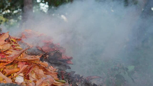 Burning leaves and trash in a forest area with thick smoke and flames rising