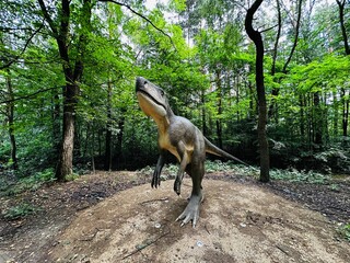 Wawel Dragon. Dragon from Lisowice.Archozaur dinosaur. Realistic figure of an Archozaur dinosaur inforest park in Kazimierz Sosnowiec. Prehistoric predator fascinating element of the landscape. © Chawran