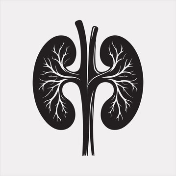 recommend clip art: kidney vector silhouette on a white background