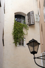 two pigeons on a window