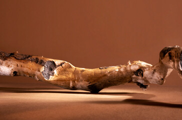 Brown background and  curved wooden stand. Product stand.