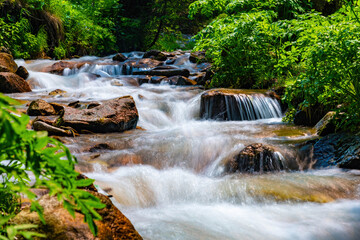 waterfall in the forest