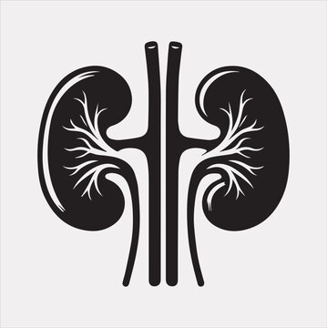 black kidney anatomy graphic clip art preview