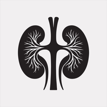 recommend clip art: kidney vector silhouette on a white background