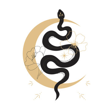 recommend clip art: Celestial serpent snake, esoteric tarot or tattoo mystery sacred symbol with gold moon and line flower. Linocut style boho. Occultism and religion, sacred rites and sacrifice. Reptile