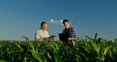 Father and son farmers standing in a beautiful cornfield, working with a laptop and tablet. Integrating technology in their family farm © StockMediaSeller