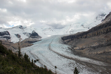 Icefield Glacier in Mount Robson Provincial Park, British Columbia, Canada
