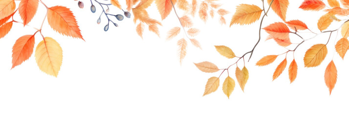 Obraz premium PNG Painting of autumn leaves border backgrounds pattern plant.