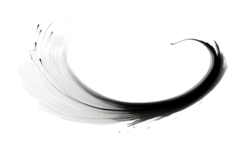 A Single Black Stroke of Ink Swirling on a White Canvas on a White or Clear Surface PNG Transparent Background.